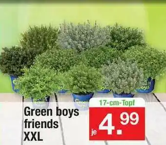 Zimmermann Green Boys Friends Xxl Angebot