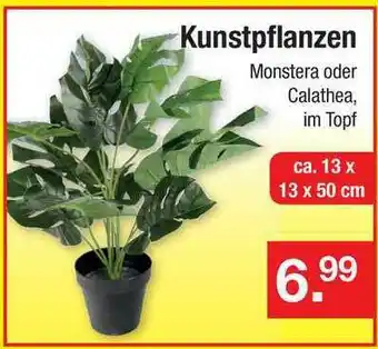 Zimmermann Kunstpflanzen Angebot