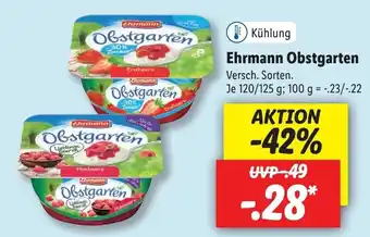 Lidl Ehrmann Obstgarten 120/125g Angebot