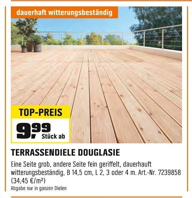 OBI TERRASSENDIELE DOUGLASIE Angebot