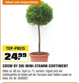 OBI GROW BY OBI MINI-STAMM-SORTIMENT Angebot