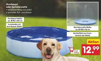 Netto Marken-Discount Hundepool oder Sprinklermatte Angebot