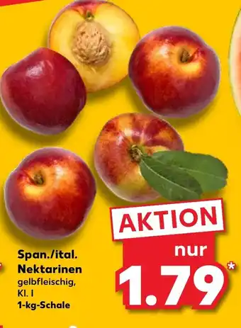 Kaufland Nektarinen 1kg Angebot