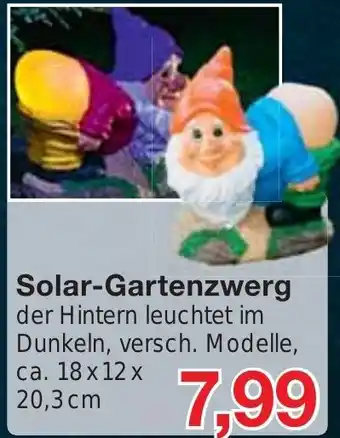 Jawoll Solar-Gartenzwerg Angebot