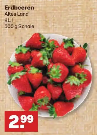 Handelshof Erdbeeren Altes Land 500 g Schale Angebot