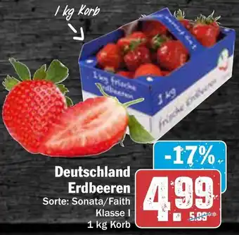 AEZ Deutschland Erdbeeren 1 kg Korb Angebot