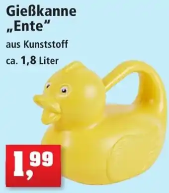 Thomas Philipps Gießkanne ,,Ente" ca. 1,8 Liter Angebot