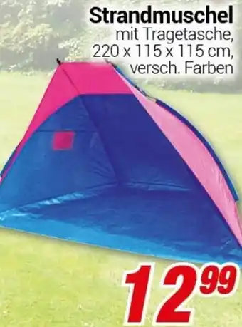 CENTERSHOP Strandmuschel Angebot