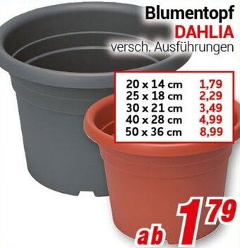 CENTERSHOP Blumentopf DAHLIA Angebot