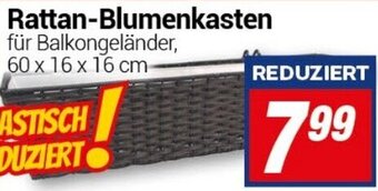 CENTERSHOP Rattan-Blumenkasten Angebot