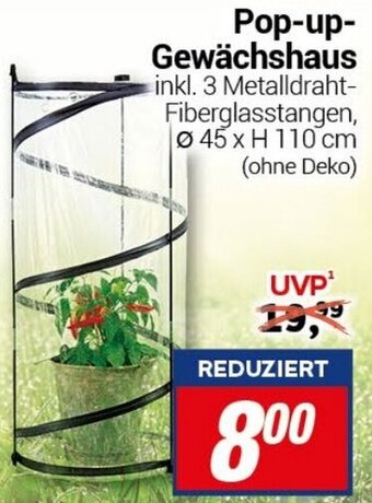 CENTERSHOP Pop-up-Gewächshaus Angebot