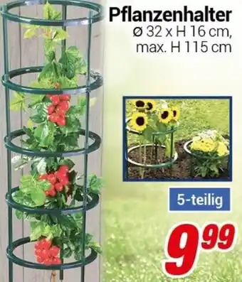 CENTERSHOP Pflanzenhalter 5-teilig Angebot