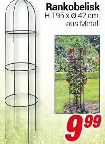 CENTERSHOP Rankobelisk Angebot