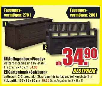 B1 Discount Baumarkt 1 Auflagenbox >>Woody<< 2 Gartenbank »Salzburg<< Angebot