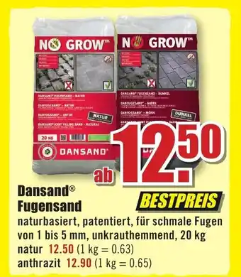 B1 Discount Baumarkt DansandⓇ Fugensand Angebot