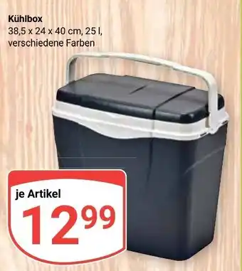 Globus Kühlbox 38,5 x 24 x 40 cm, 25 l, verschiedene Farben Angebot