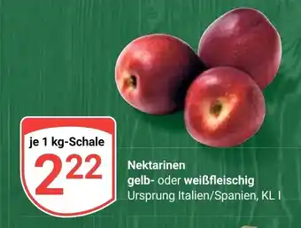 Globus Nektarinen gelb- oder weißfleischig je 1 kg-Schale Angebot