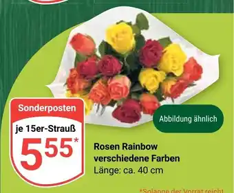 Globus Rosen Rainbow verschiedene Farben je 15er-Strauß Angebot