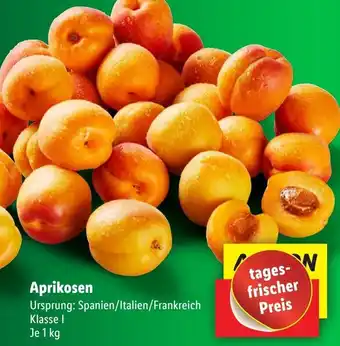 Lidl Aprikosen 1 kg Angebot