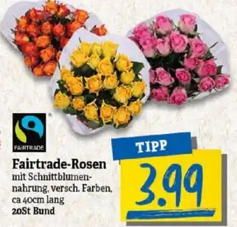 NP Discount Fairtrade-Rosen Angebot