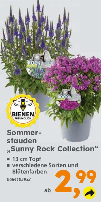 Globus Baumarkt Sommerstauden ,,Sunny Rock Collection" Angebot