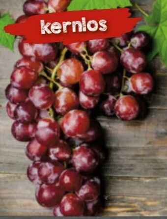 Nah & Frisch Tafeltrauben Angebot