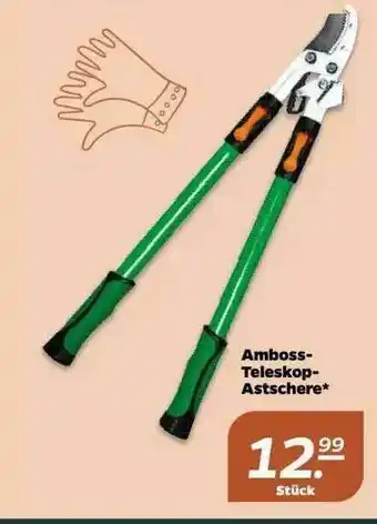 NETTO Amboss Teleskop Astschere Angebot