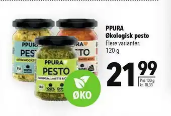 CITTI Markt Ppura økologisk Pesto Angebot