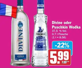 Hit Divine oder Puschkin Wodka 0,7 L Flasche Angebot