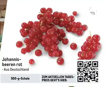 METRO Johannisbeeren rot 500-g-Schale Angebot