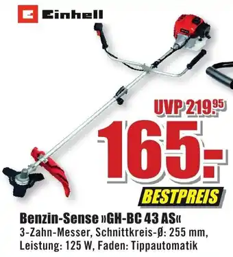 B1 Discount Baumarkt Einhell Benzin-Sense »GH-BC 43 AS<< Angebot