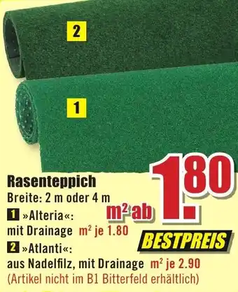 B1 Discount Baumarkt Rasenteppich Angebot