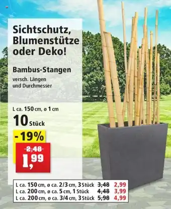 Thomas Philipps Bambus-Stangen Angebot