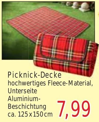 Wiglo Wunderland Picknick-Decke Angebot