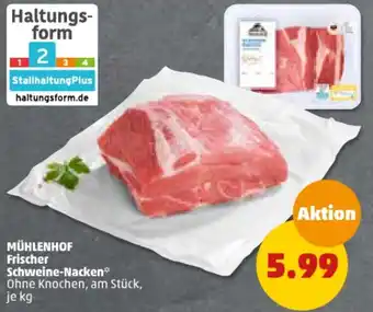 PENNY MÜHLENHOF Frischer Schweine-Nacken Angebot