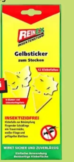 Thomas Philipps Gelbsticker zum stecken Angebot