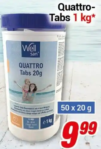 CENTERSHOP Well san Quattro-Tabs 1 kg* Angebot