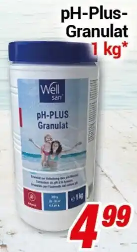 CENTERSHOP Well san pH-Plus-Granulat 1 kg* Angebot