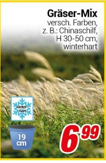 CENTERSHOP Gräser-Mix Angebot