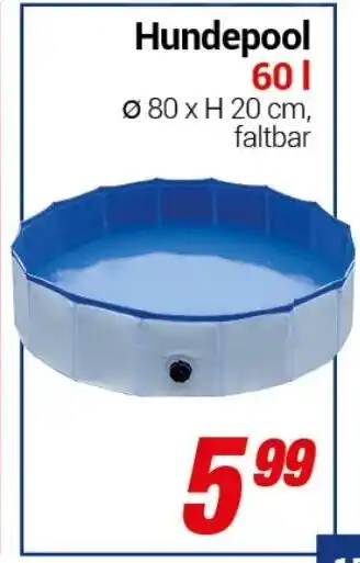 CENTERSHOP Hundepool 60 L Angebot