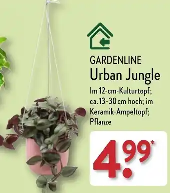 Aldi Nord GARDENLINE Urban Jungle Angebot