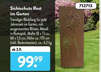 Aldi Süd Sichtschutz Rost im Garten Angebot