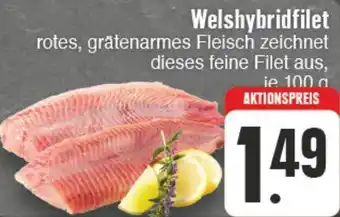 EDEKA Vogl Welshybridfilet 100 g Angebot