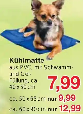 Jawoll Kühlmatte Angebot