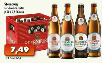 Lösch Depot Sternburg Angebot