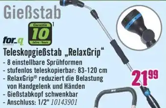 Hornbach for_q Gießstab Teleskopgießstab ,Relax Grip" Angebot