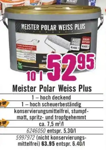 Hornbach Meister Polar Weiss Plus 10 L Angebot