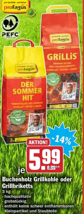 Hit Buchenholz Grillkohle oder Grillbriketts 3kg Angebot