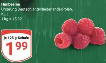 Globus Himbeeren 125 g-Schale Angebot