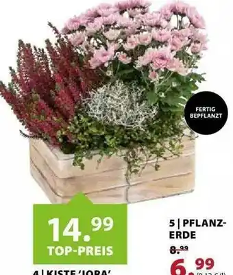 Dehner Pflanzerde Angebot